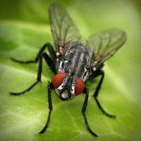 /album/trophbapota/photolia-a01-jpg/