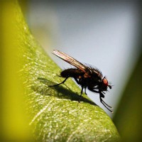 /album/trophbapota/photolia-a04-jpg/