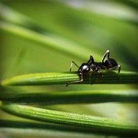 /album/trophbapota/photolia-a05-jpg/