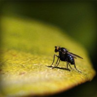 /album/trophbapota/photolia-a07-jpg/