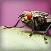 /album/trophbapota/photolia-a08-jpg/